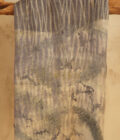 Pashmina Wild - Imagen 6