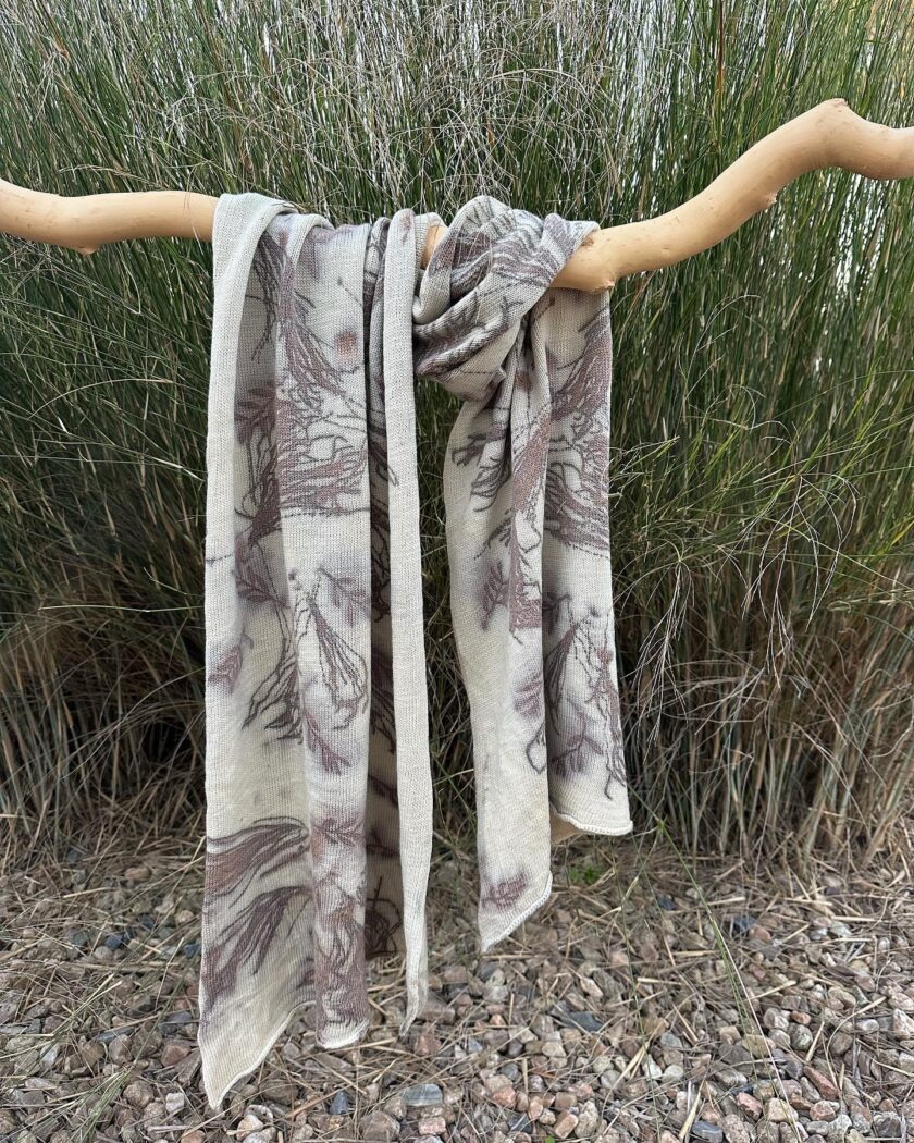 Pashmina Wild